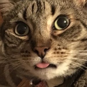 Meet your Posher, Ariana